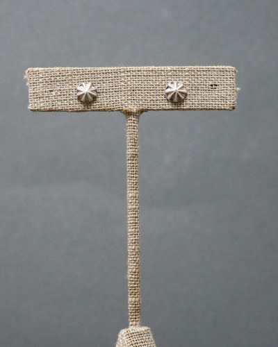 Small Burst Earrings